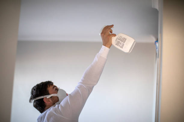 Best Home Mold Removal  in Welby, CO