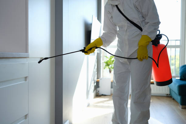 Best Toxic Mold Removal  in Welby, CO