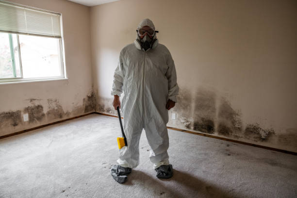 Best Residential Mold Removal  in Welby, CO